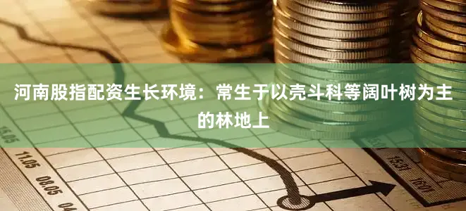 河南股指配资生长环境：常生于以壳斗科等阔叶树为主的林地上